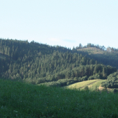 severny spis