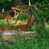 Šesterák- kam se to dívá?