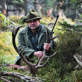 Řije 2015- jelen z pralesa