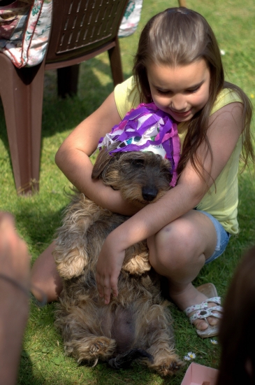 aj pes má narodeniny