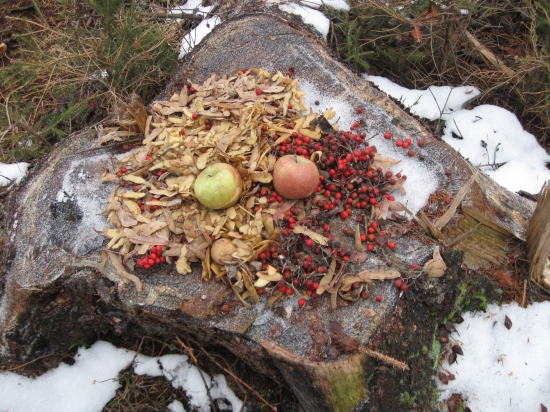 Každý deň aspoň niečo