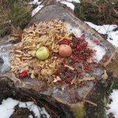 Každý deň aspoň niečo