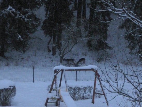 7 Hodín ráno, 300 metrov od domu