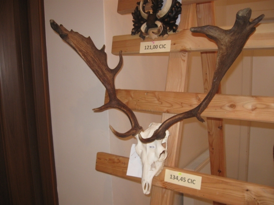 Najlepší na vystave- k ID: 146011