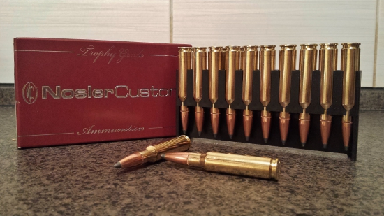 Nosler Partition 10,7g -308w