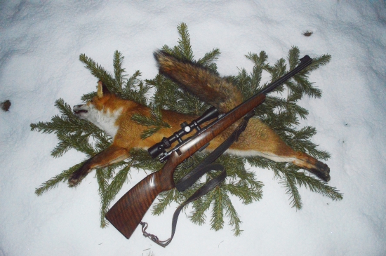 Kankovanie