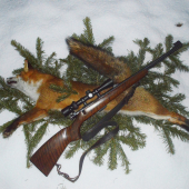Kankovanie