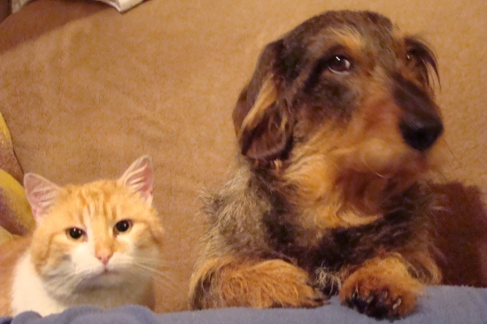 nerozlučná dvojica:-)