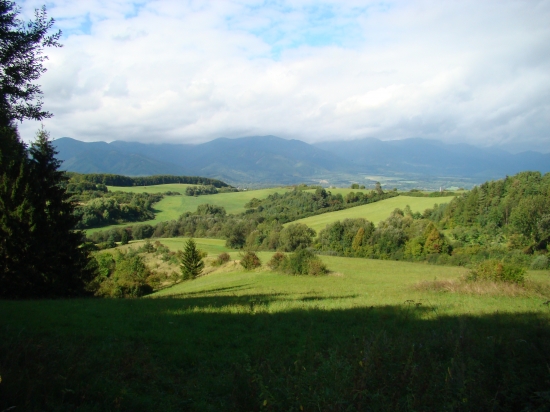 kusok lesa