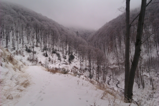 pohľad nad zasneženou krajinou