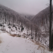 pohľad nad zasneženou krajinou