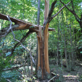 NIČIVÁ SILA BLEZKU!!