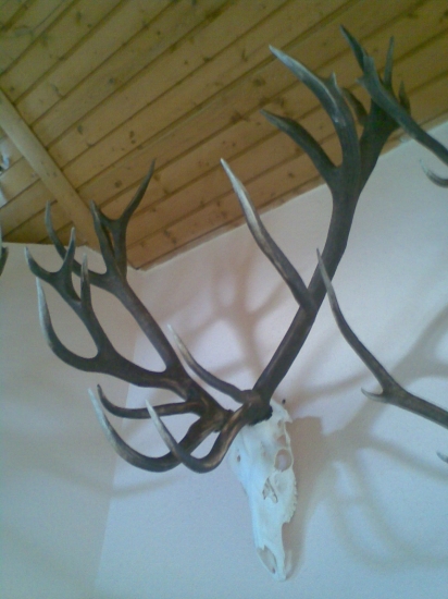 us su minulostou-ukradli ich