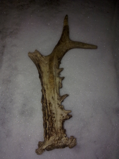 škoda že som ho nenašiel o pár rokov skôr