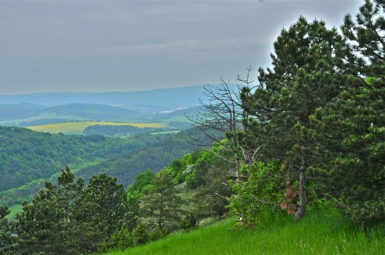Kopanice