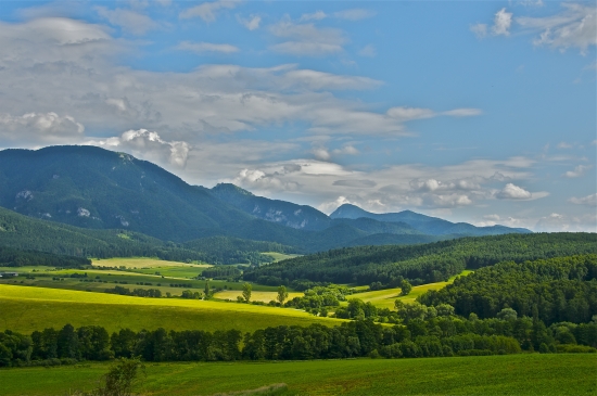 Turčianska záhradka...