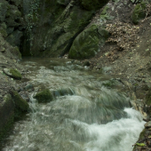 Limbašská vyvieračka