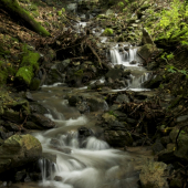 Horský potôčik...