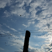 Žeby koniec leta...?