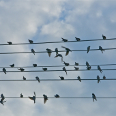 Takto snemujeme pred odletom...