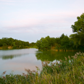 V zapadajúcom slnku..