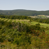 Karpatské pastorále...