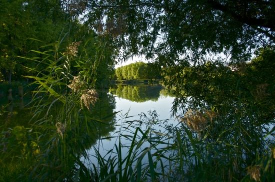 Pohľad cez 
