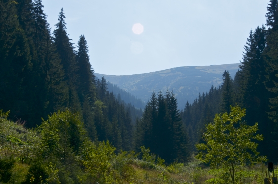 Latiborská hoľa-Nízke Tatry