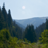 Latiborská hoľa-Nízke Tatry