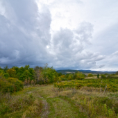 Karpatské predhorie...