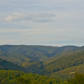 Doliny danielov-M.Karpaty