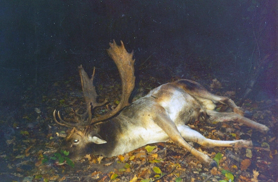 Spomienkový
