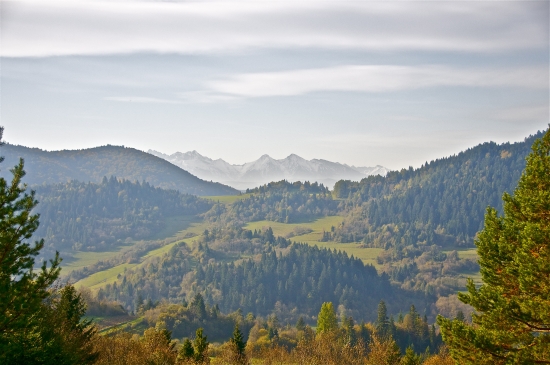 Belianske tatry v rannom opare...