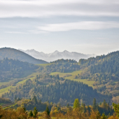 Belianske tatry v rannom opare...