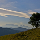 Osamelý strážca hôr...
