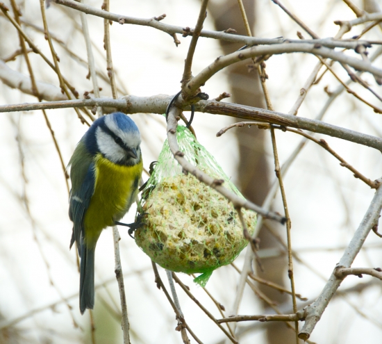 Pri prestretom stole...