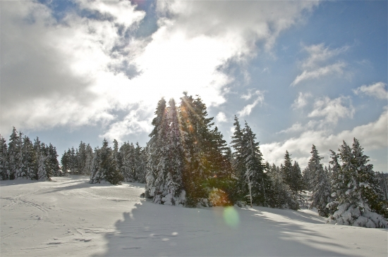 V zimnom kráľovstve