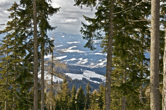 Pohľad do údolia...