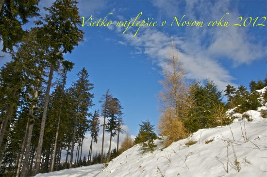 Všetko najlepšie do Nového roku 2012