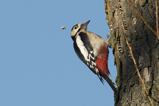 Aj ívery lietali...