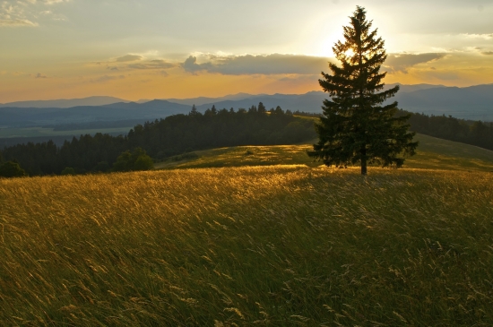 Kúsok tepla v tejto zime...