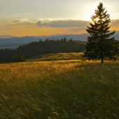 Kúsok tepla v tejto zime...