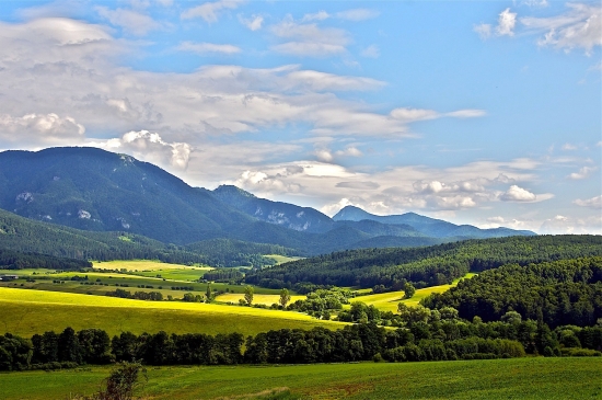 Leto v Turci nad Necpalmi