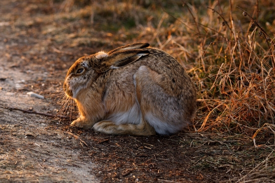 O chviľu neskôr... k ID 154143