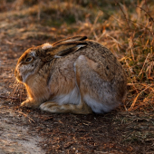O chviľu neskôr... k ID 154143