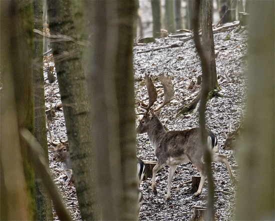 Bližšie sa nedalo...