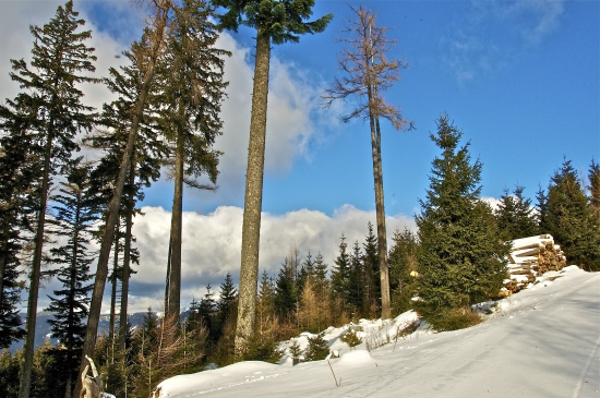 V jeden krásny slnečný deň...