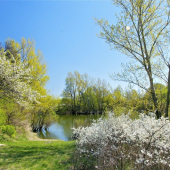 Na Veľkonočný pondelok...