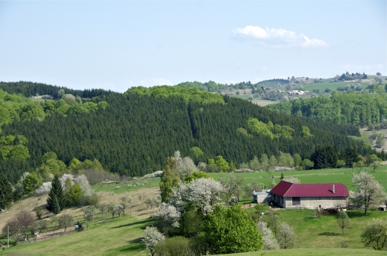 Prebúdzanie života..1.máj na Budinských lazoch