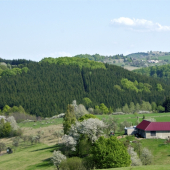 Prebúdzanie života..1.máj na Budinských lazoch